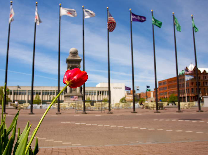 Flower in Downtown Syracuse Promising Signals for Jobs in Syracuse